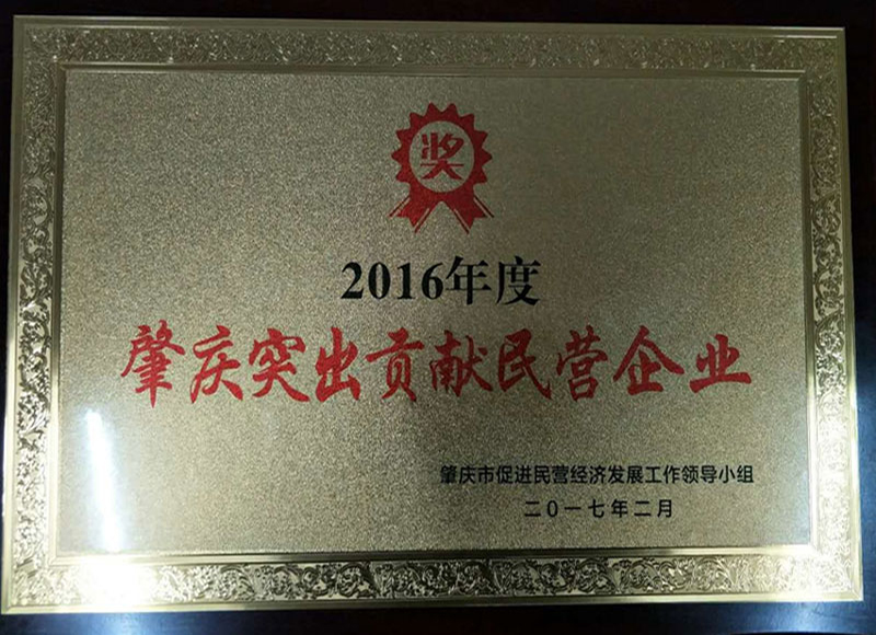 2016肇庆突出贡献民营企业